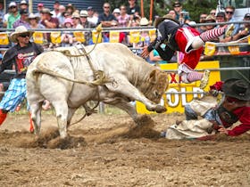 Jindabyne's Man From Snowy River Rodeo