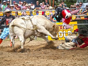 Jindabyne's Man From Snowy River Rodeo Cover Image