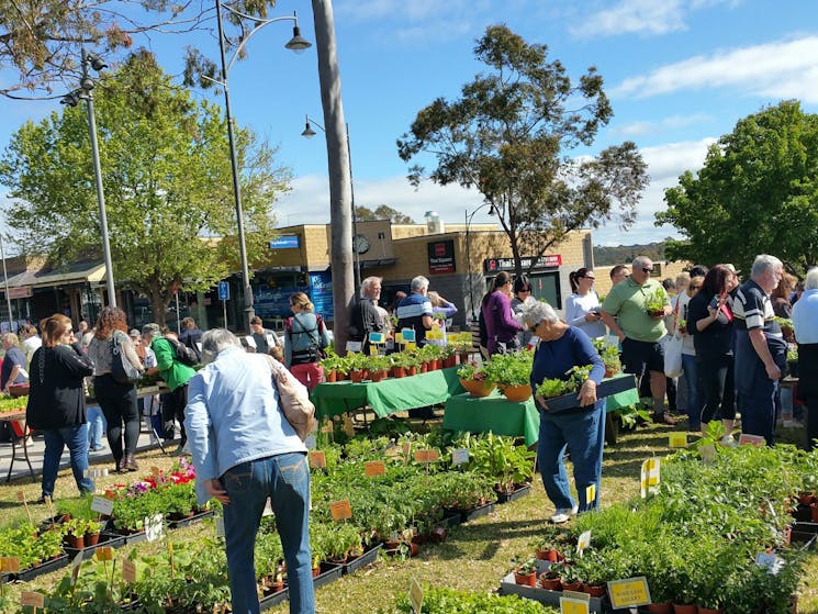 Springwood Growers Market NSW Holidays & Things to Do, Attractions and Events Springwood Growers Market NSW Holidays & Things to Do, Attractions and Events