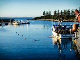 Bermagui Fishermens Wharf