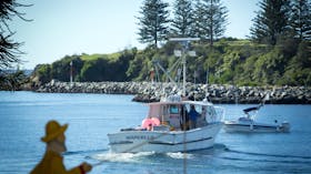 Bermagui Fishermen's Wharf
