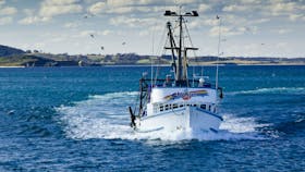 Bermagui Fishermen's Wharf