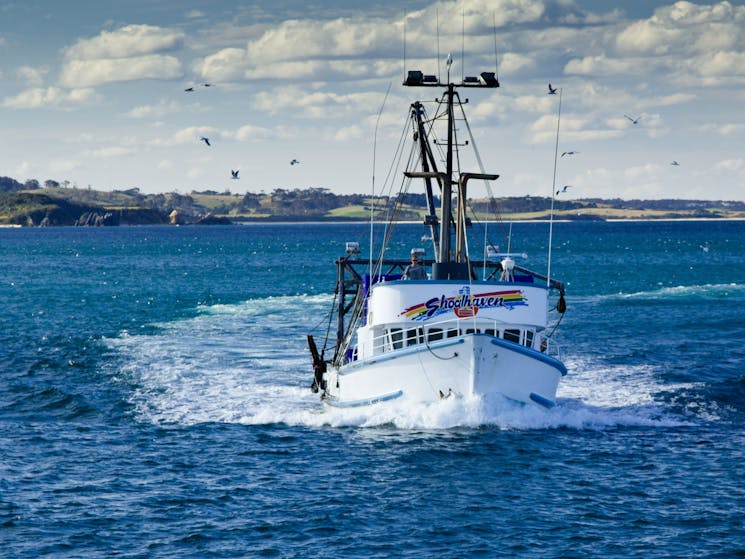 Bermagui Fishermens Wharf