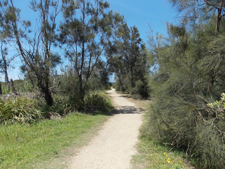 Coomee Nulunga Cultural Trail