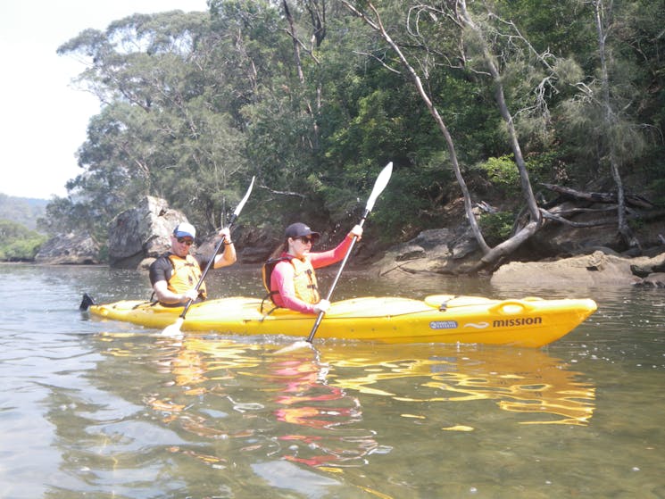 Berowra Waters Tour