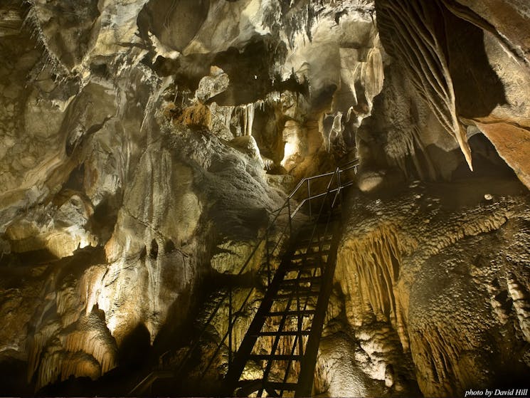 Chifley Cave at Jenolan
