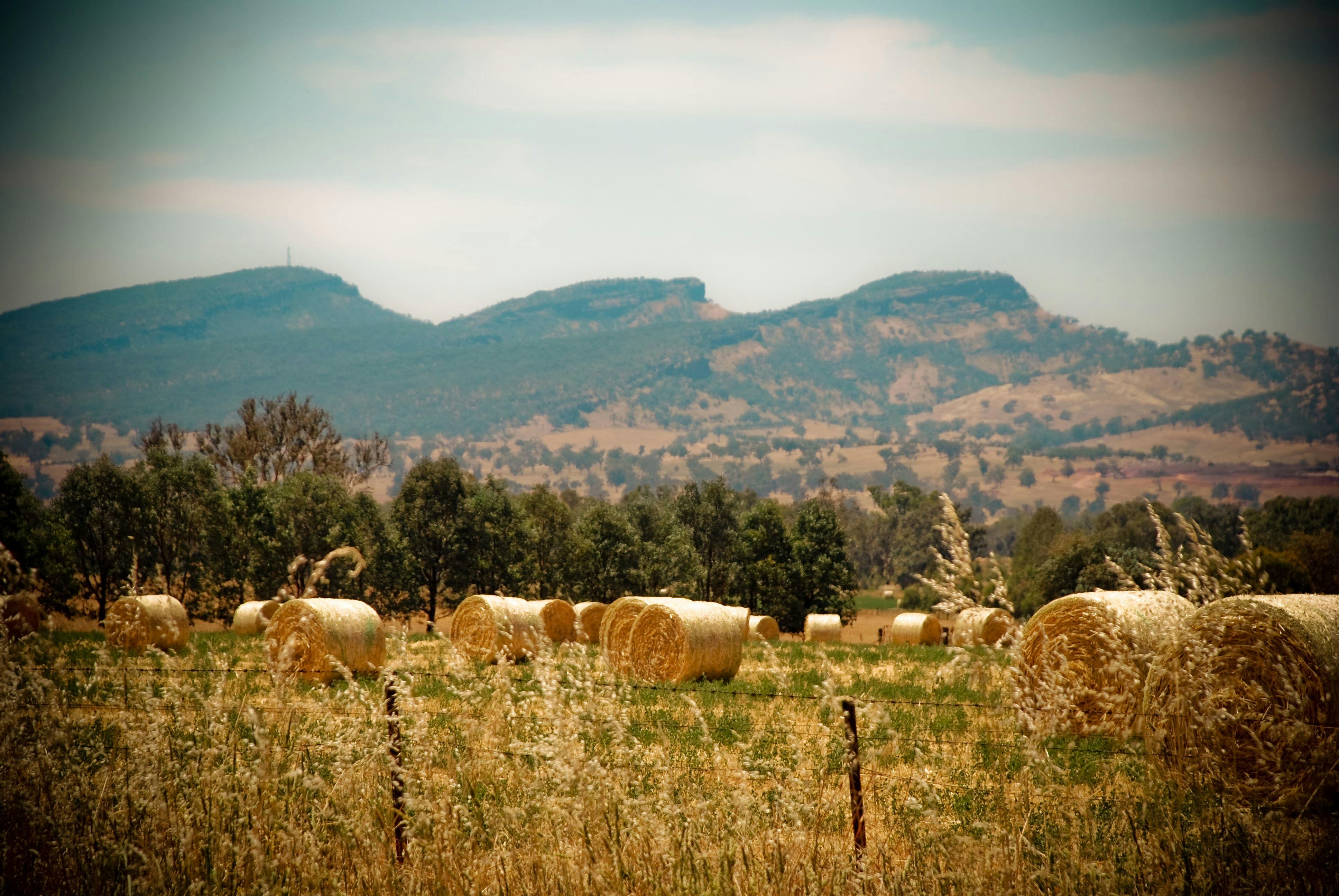 テーブルトップマウンテン体験