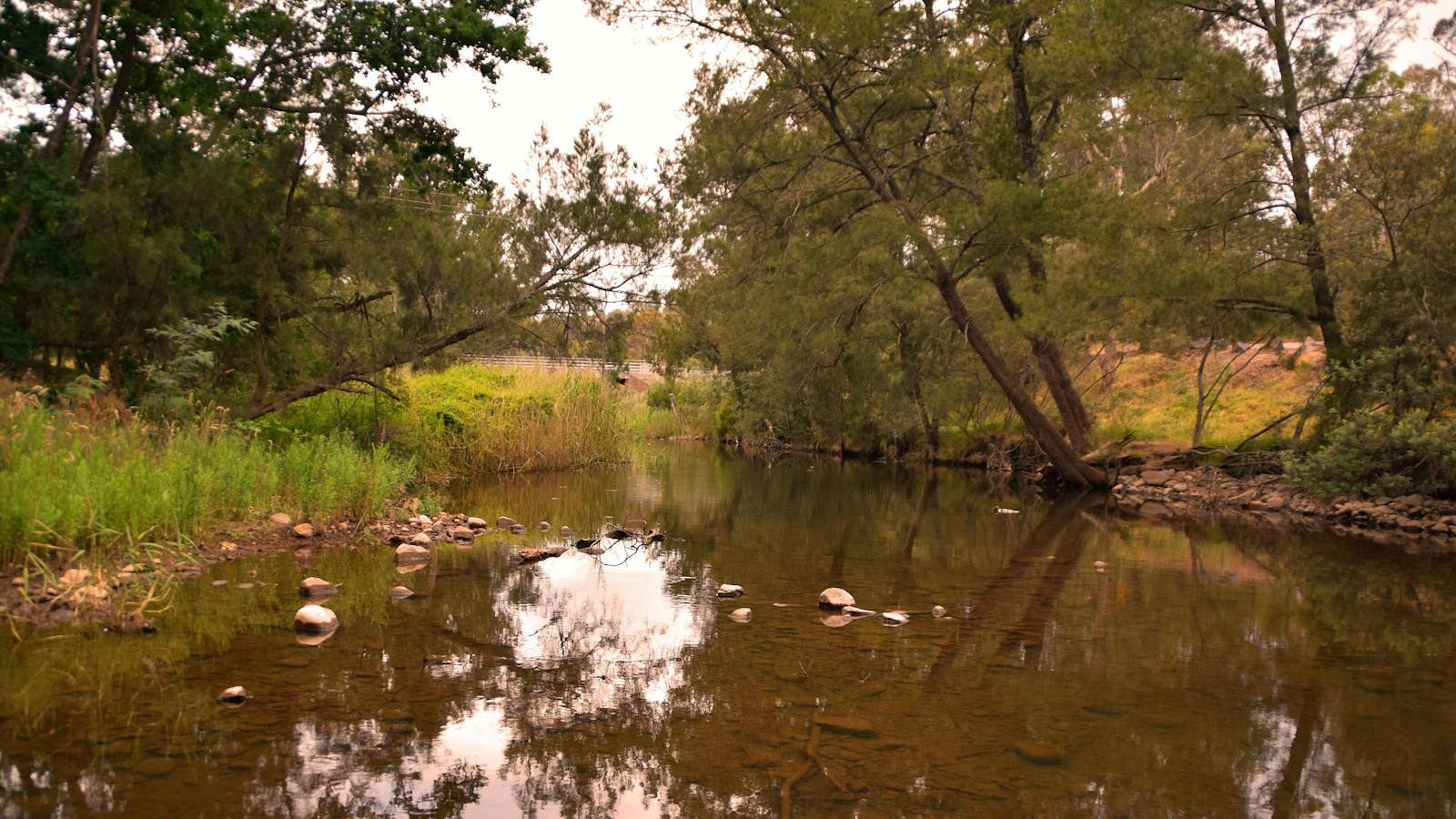 Bundyi Cultural Tours