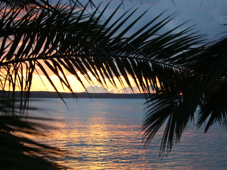 Edgewater Gardens