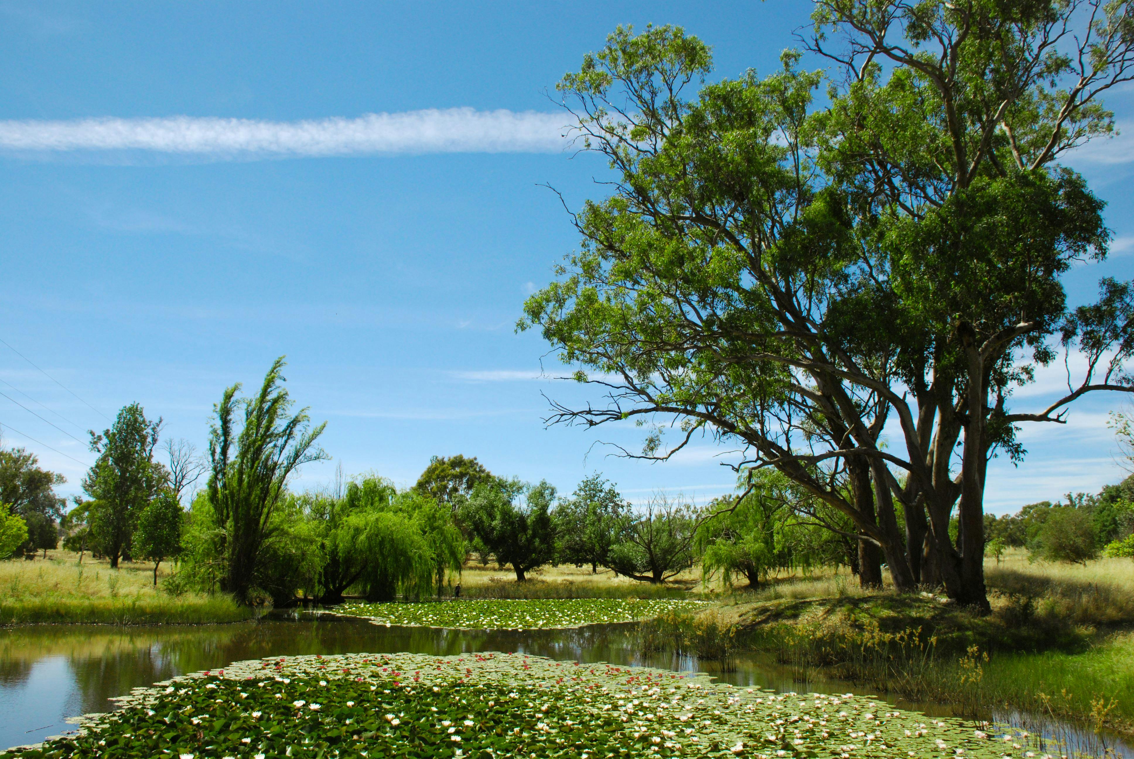 위라미나 환경교육센터
