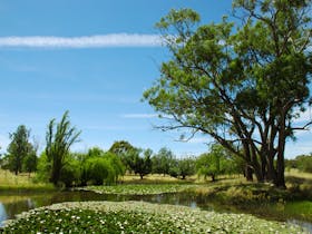 Burrumbuttock image