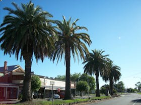 Culcairn image