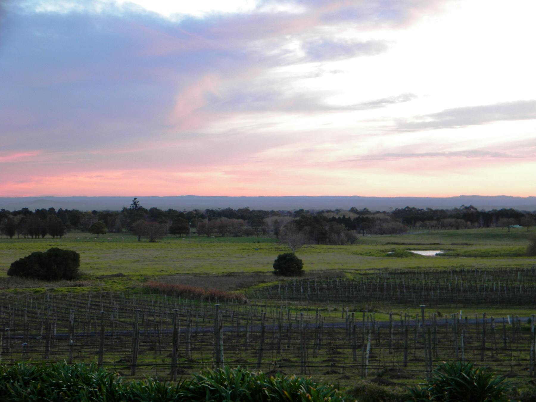 Coolangatta, Shoalhaven, South Coast NSW 