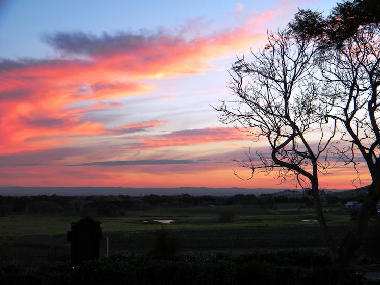 Coolangatta NSW NSW Holidays & Things to Do, Attractions and Events