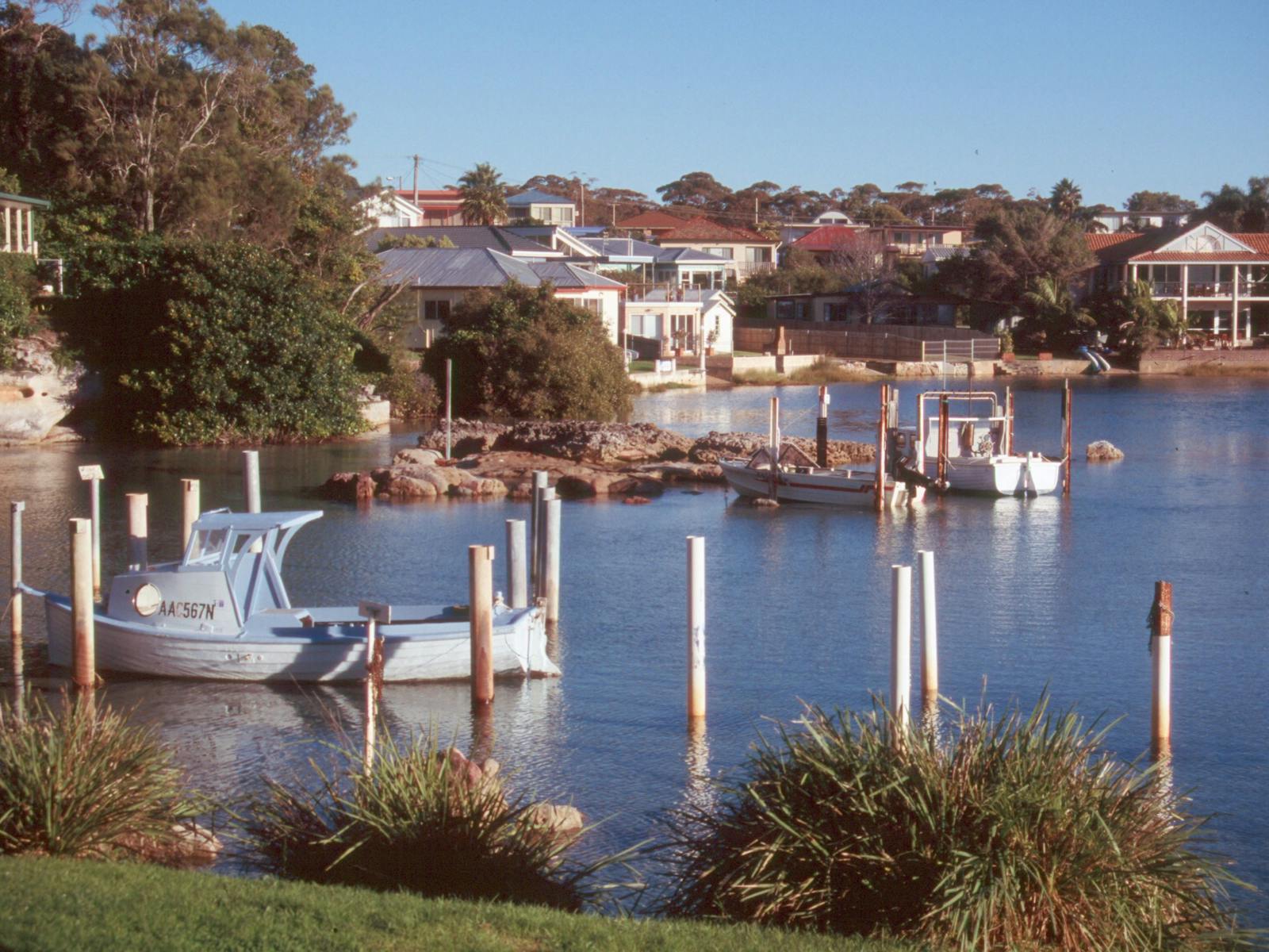 Boats moored on the creek at Currarong, South Coast.