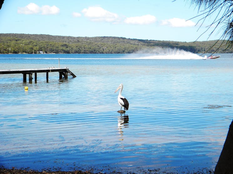 Erowal Bay, St Georges Basin, Shoalhaven NSW