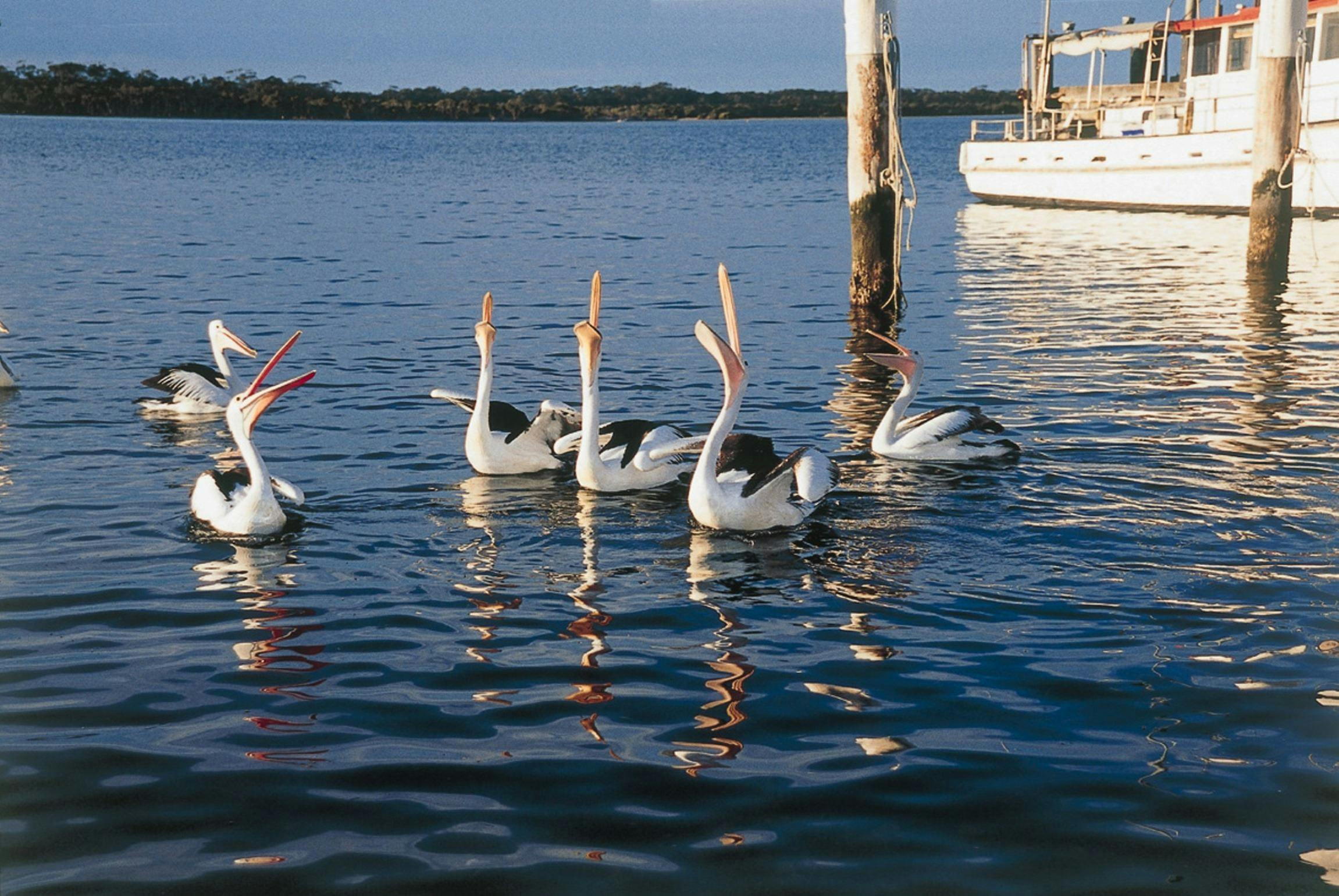 Greenwell Point, Shoalhaven, South Coast NSW