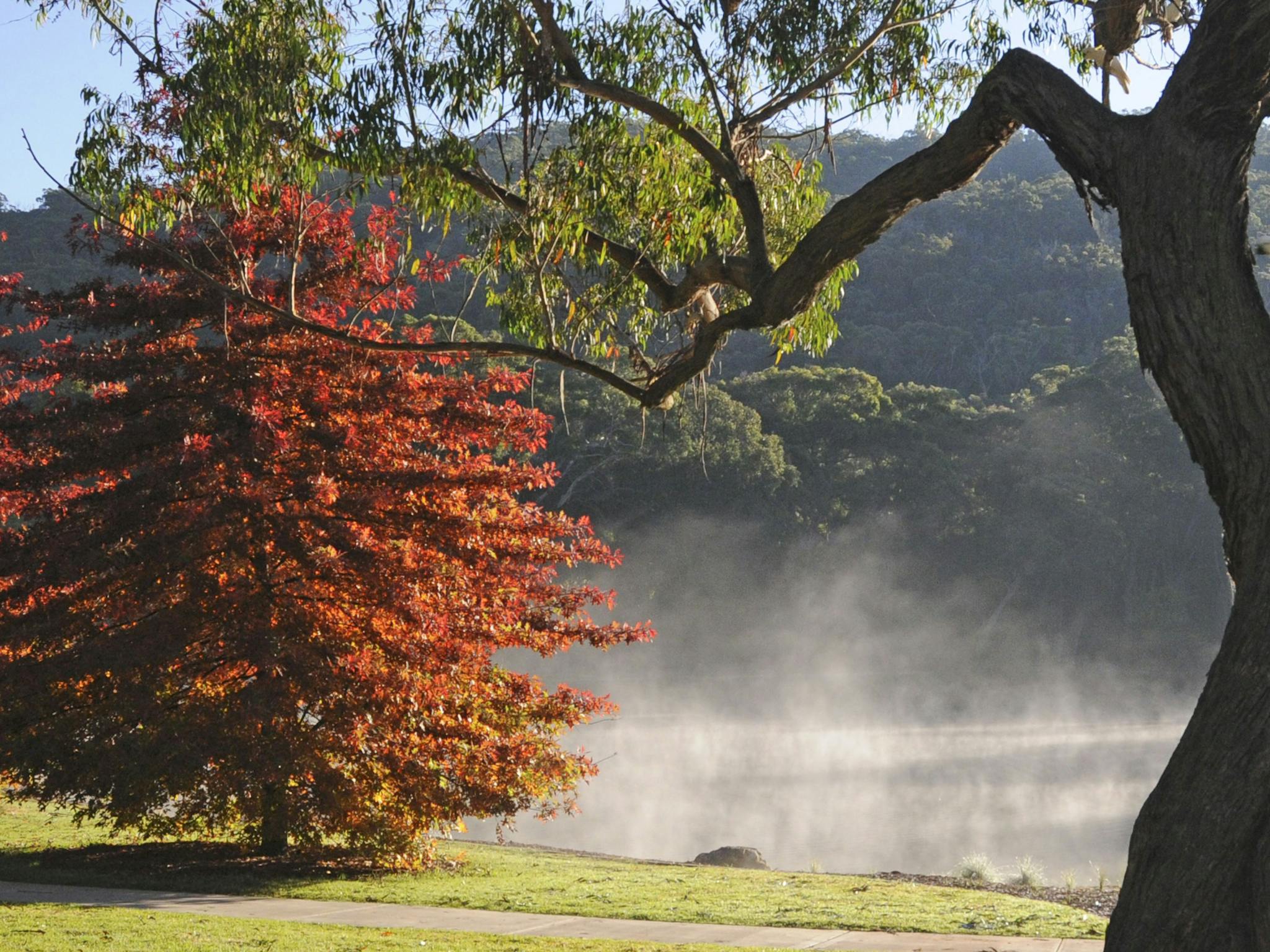Lake Alexandra, Mittagong