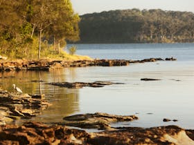 Wangi Wangi image