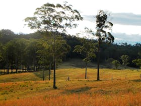 Termeil image