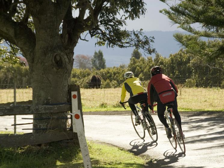 Terara | NSW Holidays & Accommodation, Things to Do, Attractions and Events