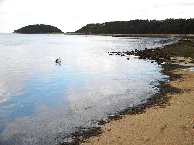 Orient Point NSW Holidays & Things to Do, Attractions