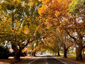 Richmond image