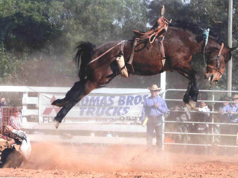 Narrandera Rodeo Sydney Australia Official Travel