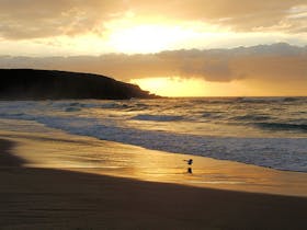 Wairo Beach on the South Coast of NSW 