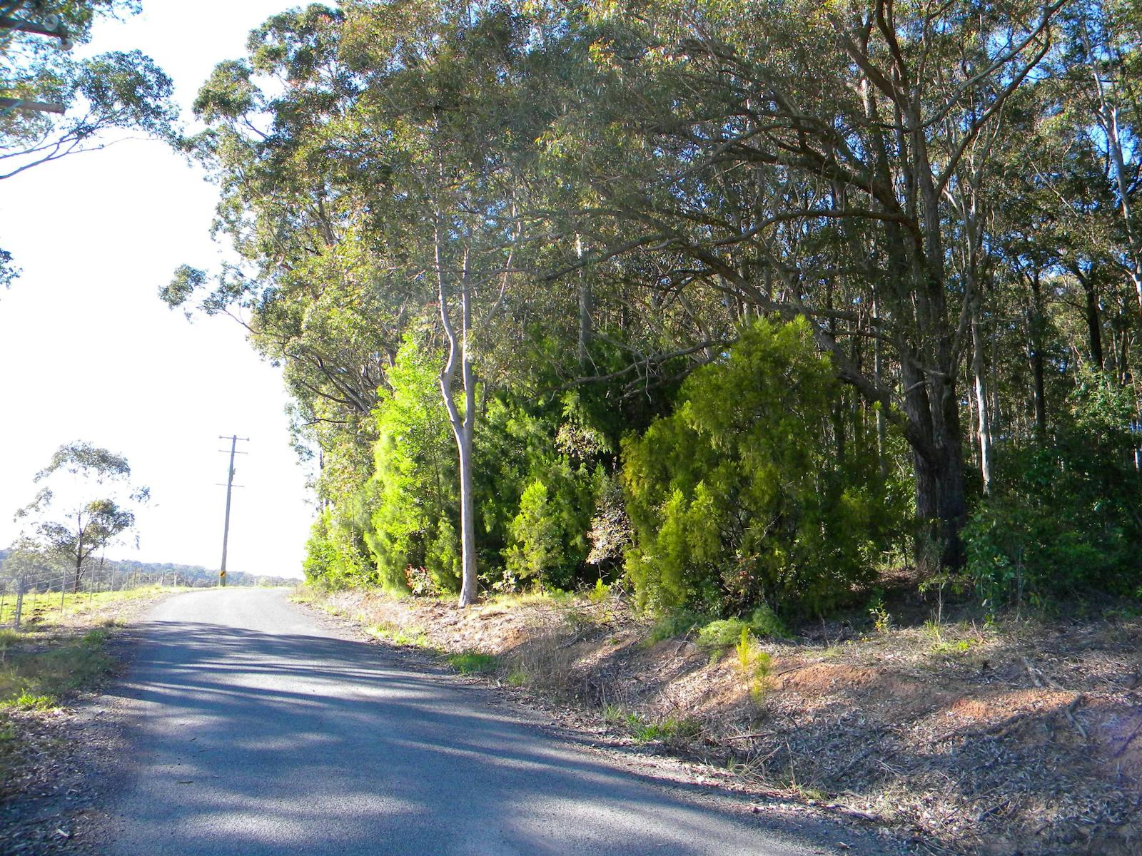 Woollamia on the South Coast of NSW, Shoalhaven Area