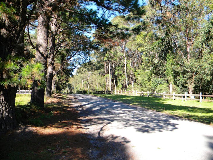 Rural road at Woollamia on the South Coast NSW