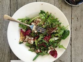 Nourish Food Safaris