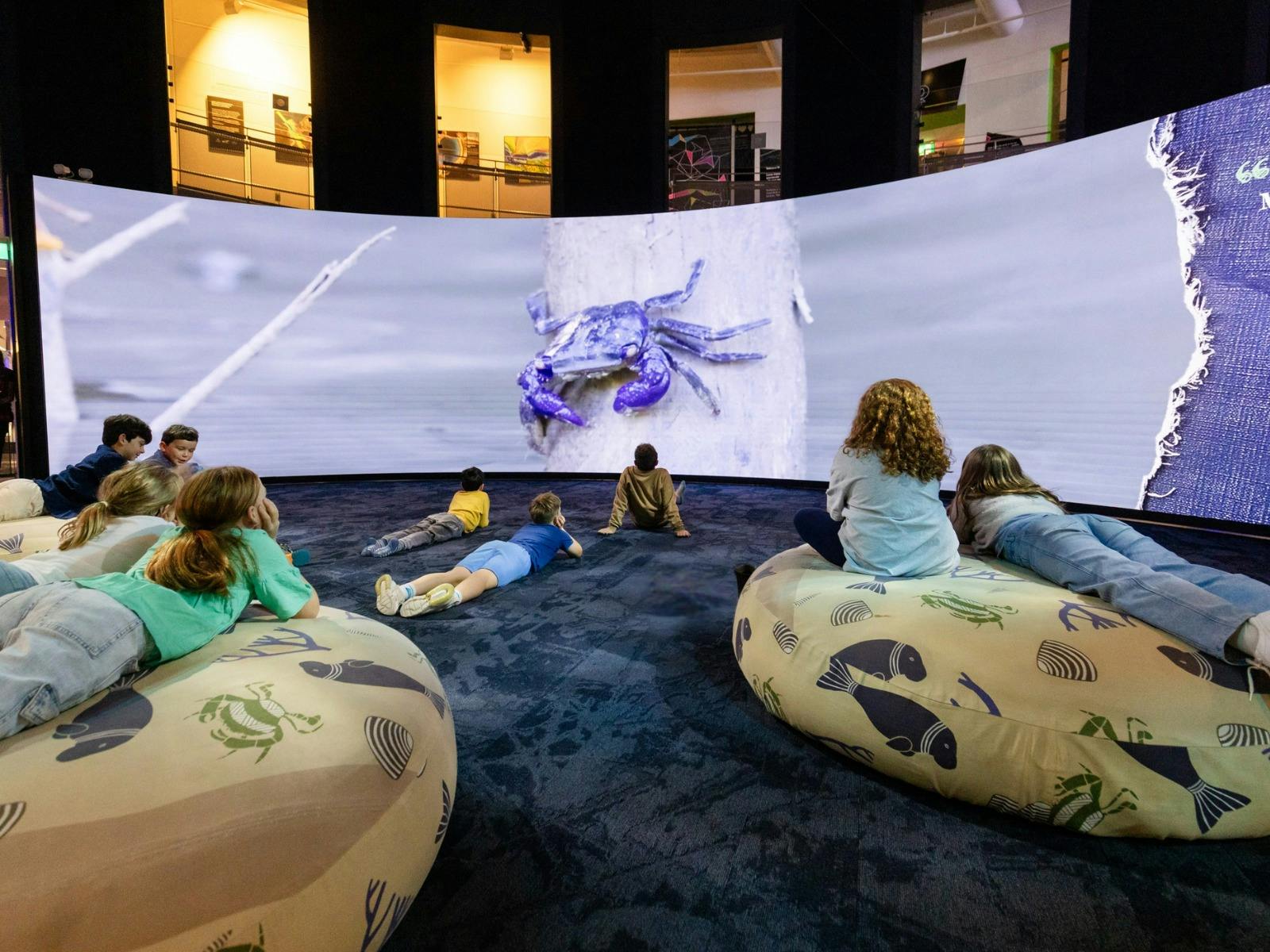 Children enjoying the Mangroves - Tales from the Tide exhibition at Questacon