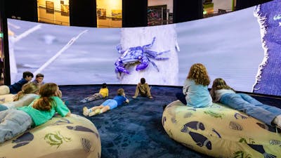 Children enjoying the Mangroves - Tales from the Tide exhibition at Questacon