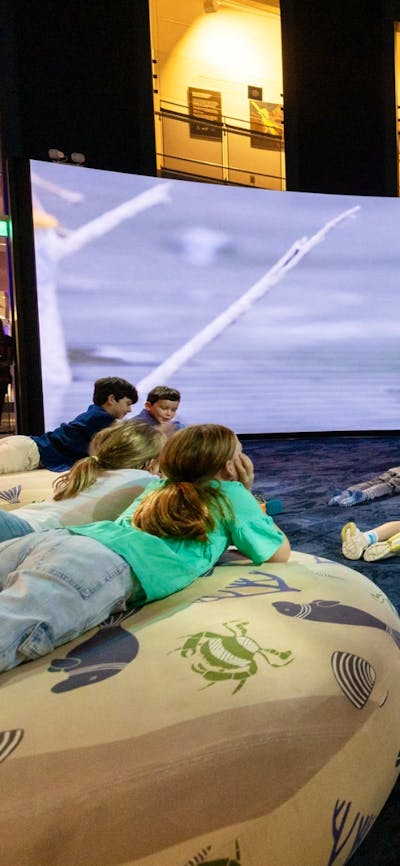 Children enjoying the Mangroves - Tales from the Tide exhibition at Questacon