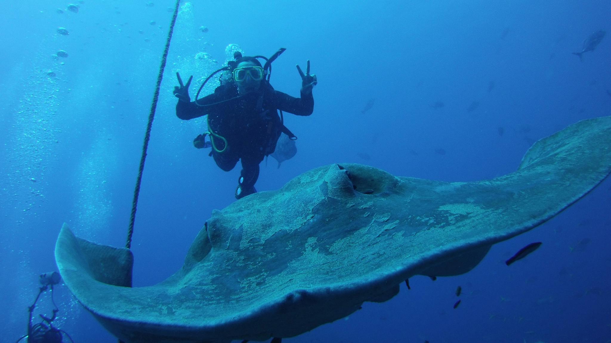 Rays for days Rays for days