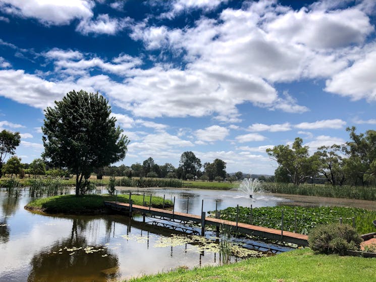 View of the lake; Wine Tasting; Cellar Door; Italian Varietals; Relaxing Views; Romantic Spot;