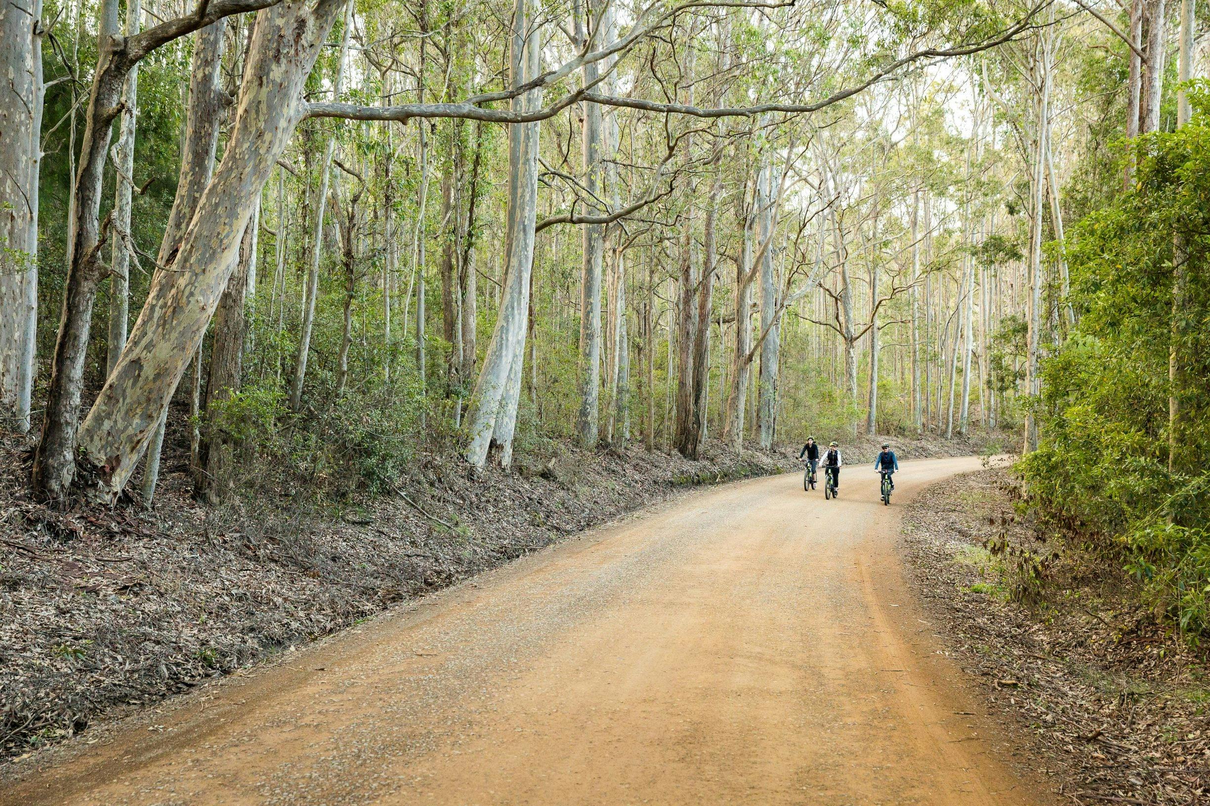自助電動自行車之旅