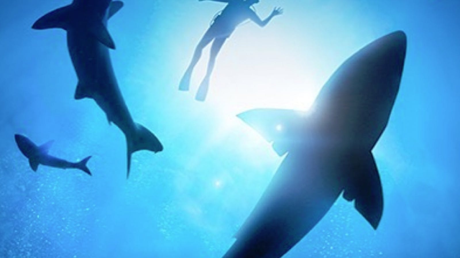 Image for Planet Shark: Predator or Prey