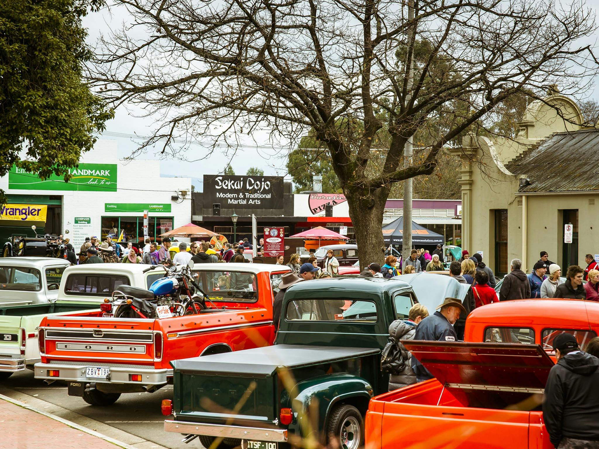Alexandra Truck Ute and Rod Show