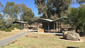 The Pub Paddock