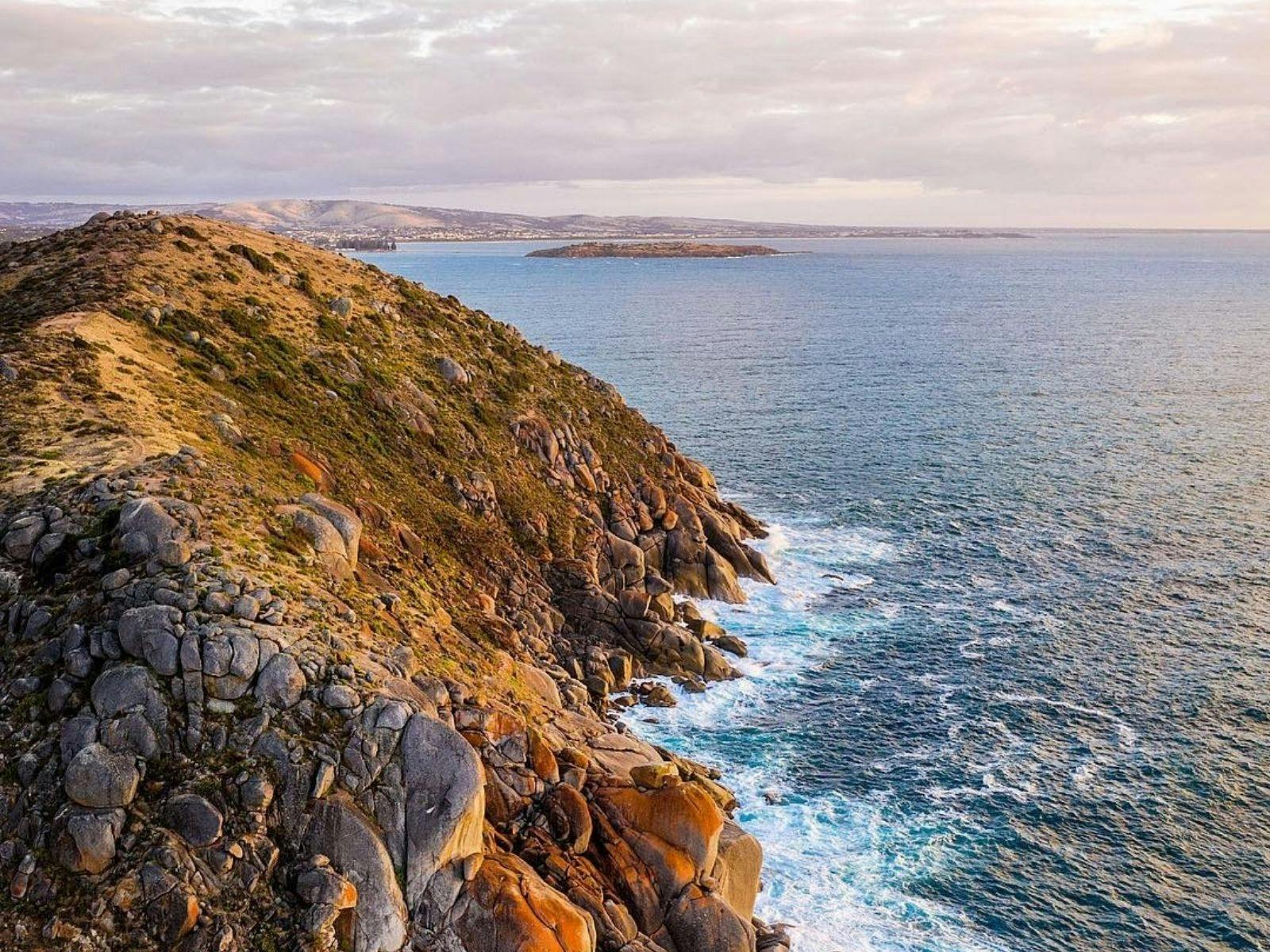 The Bluff - Rosetta Head