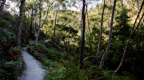 Cleland National Park