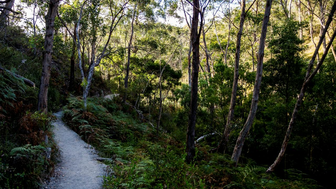 Cleland National Park