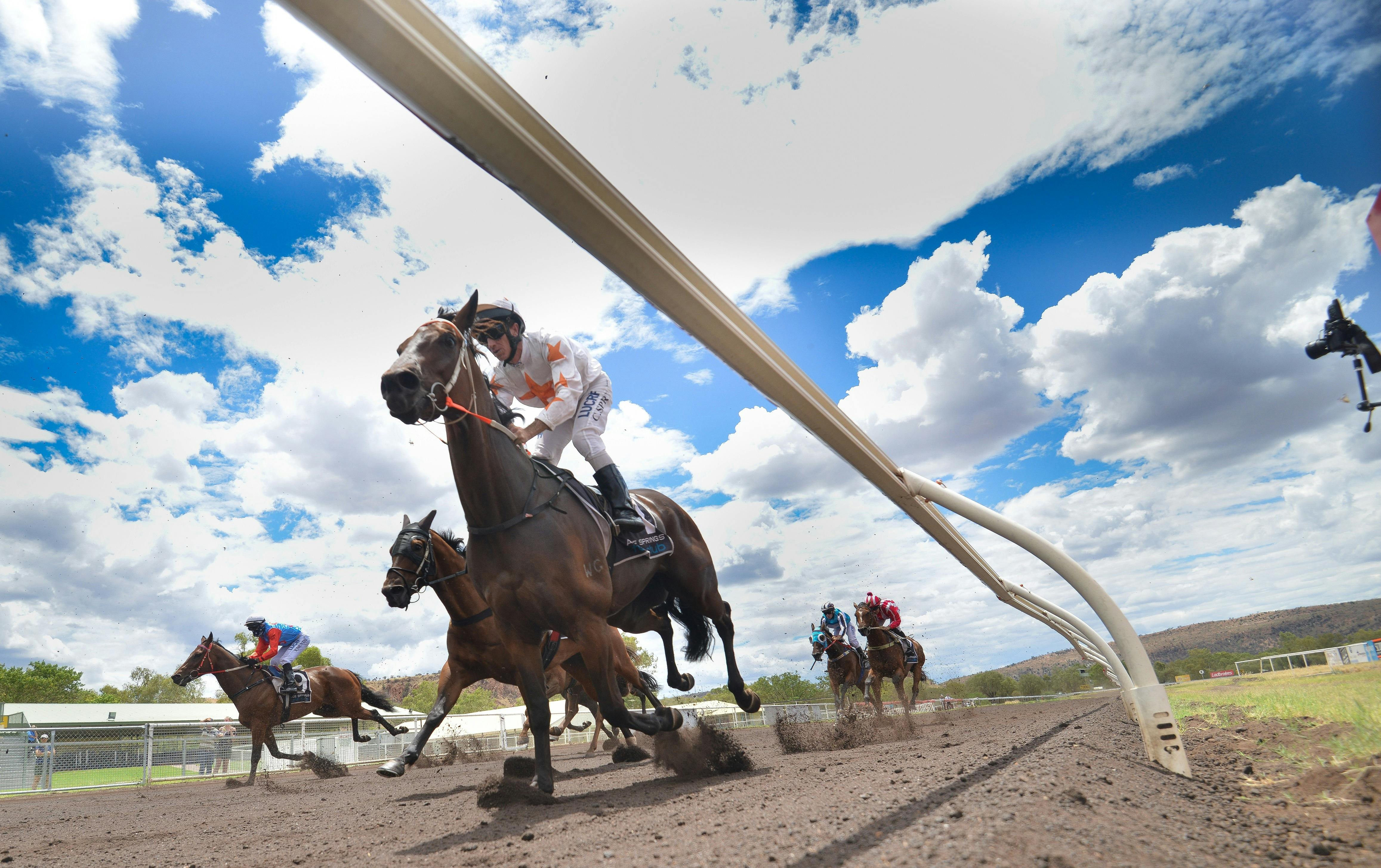 Ladbrokes Pioneer Park Racecourse