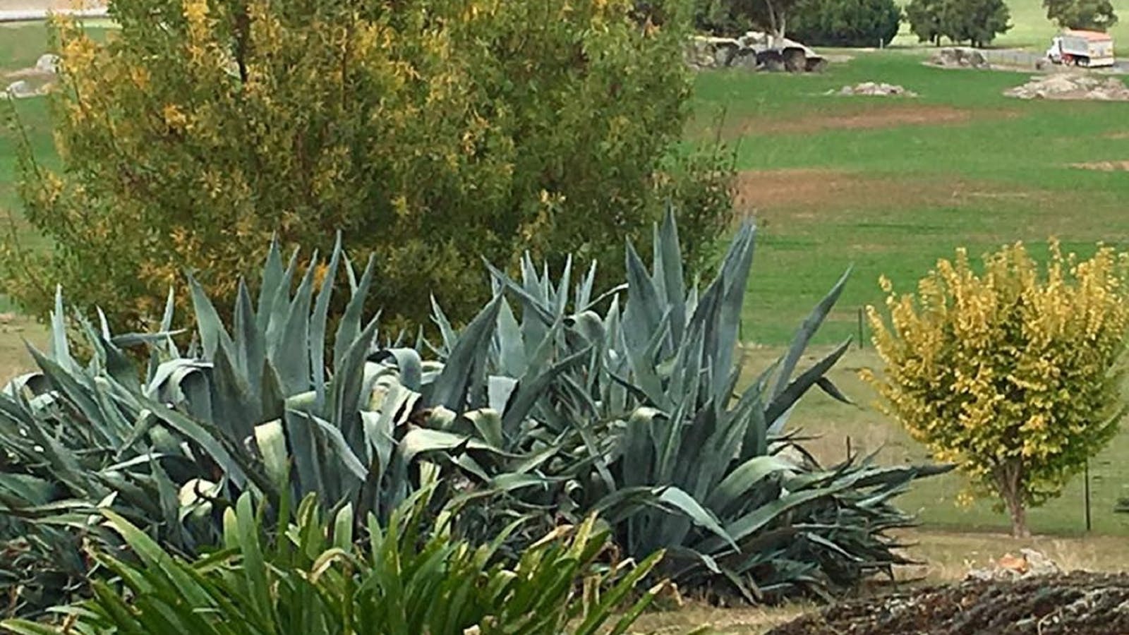 Clifton House and Gardens