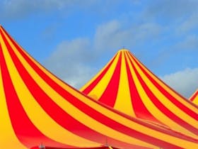 Hudsons Circus
