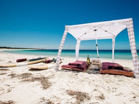 Rumi on Louth Beach Picnic