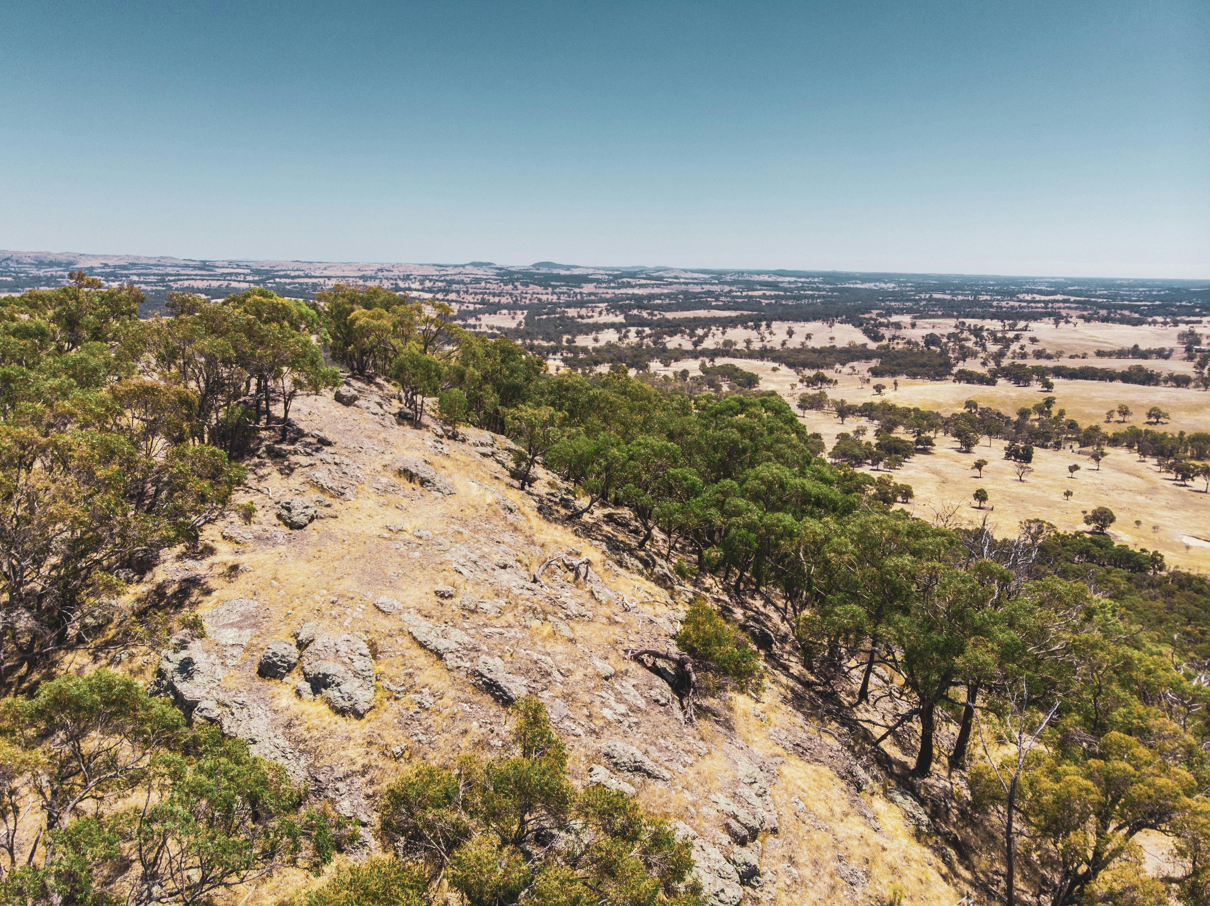 Mount Piper Summit Walk