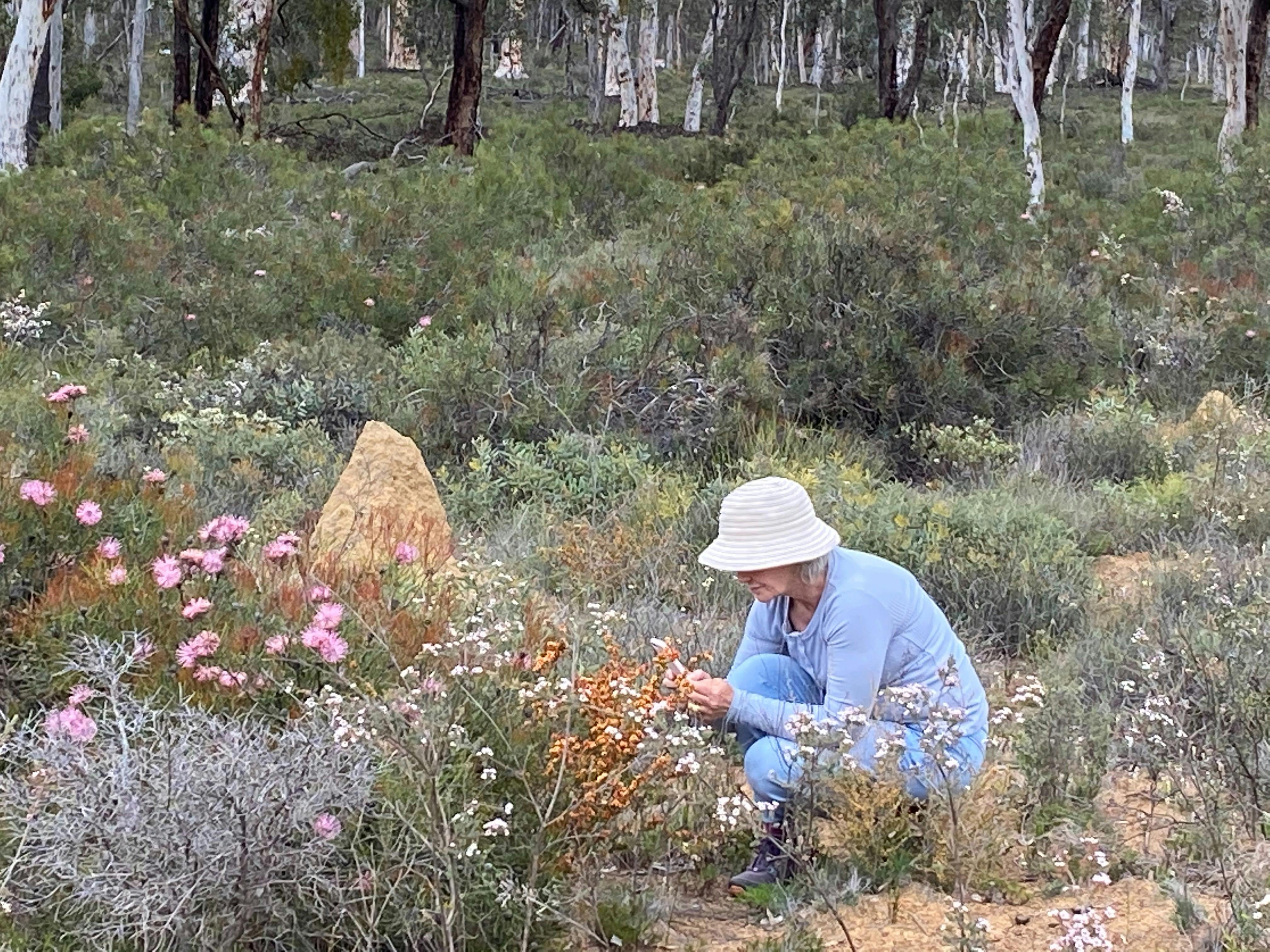 Luxury Outback Tours, Perth, Western Australia